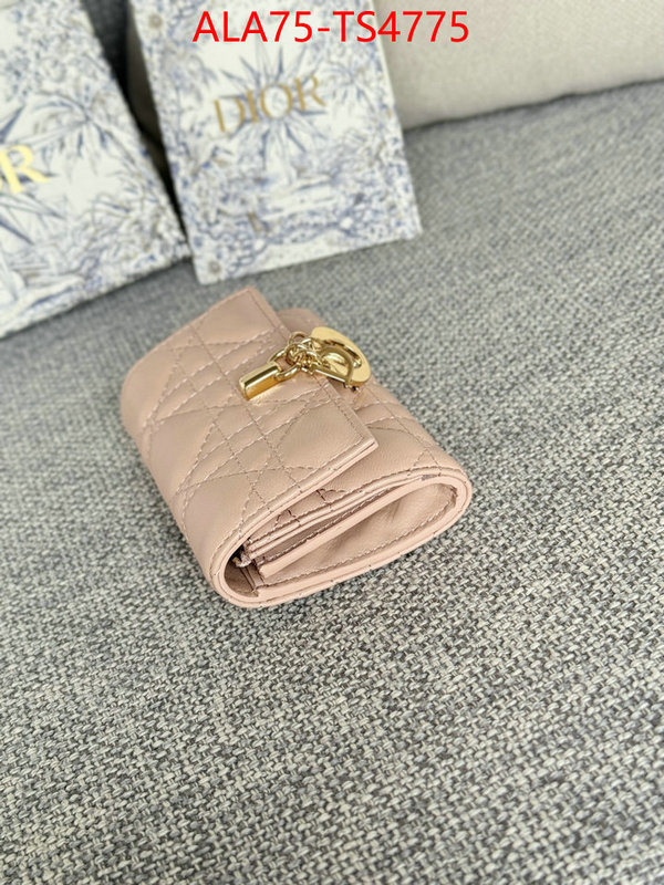 ID: TS4775 $: 75USD,