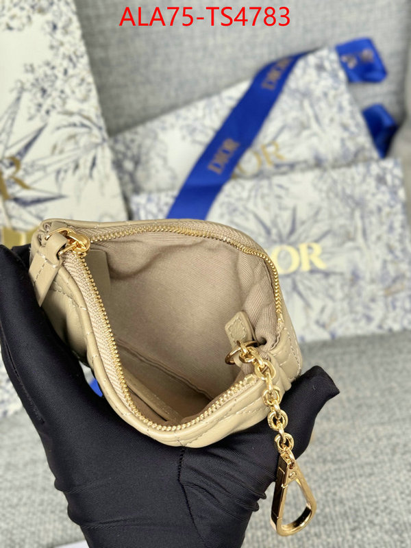 ID: TS4783 $: 75USD,