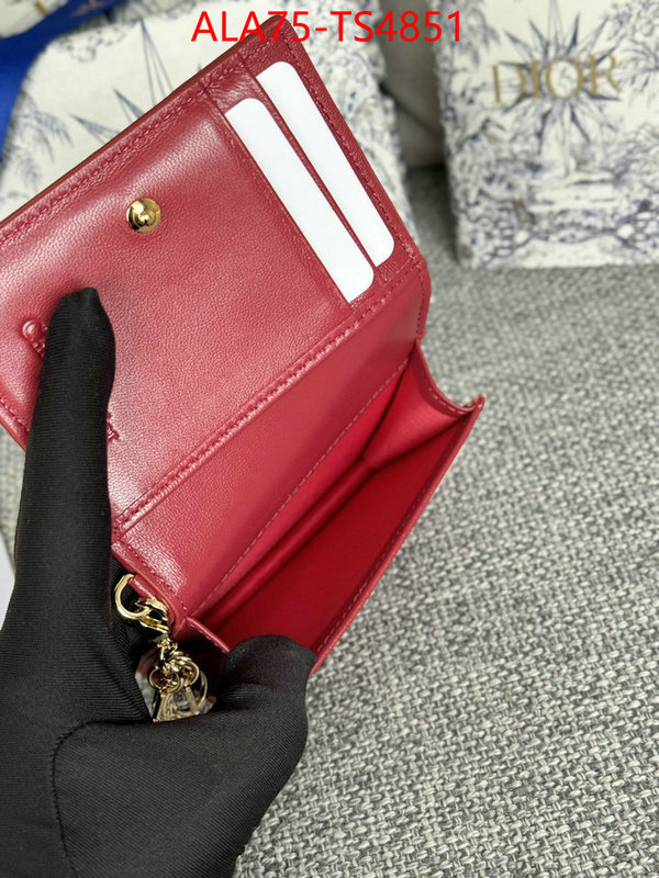 ID: TS4851 $: 75USD,