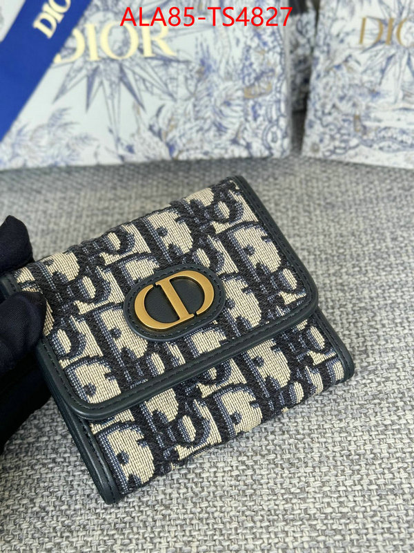 ID: TS4827 $: 85USD,