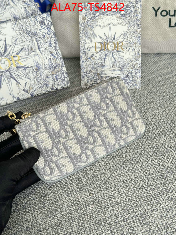 ID: TS4842 $: 75USD,