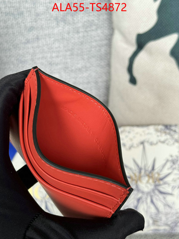 ID: TS4872 $: 55USD,