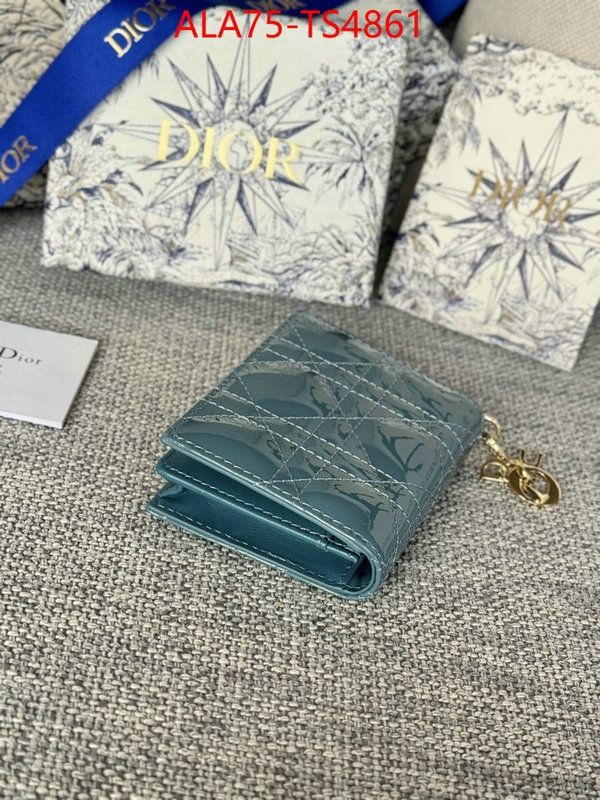 ID: TS4861 $: 75USD,