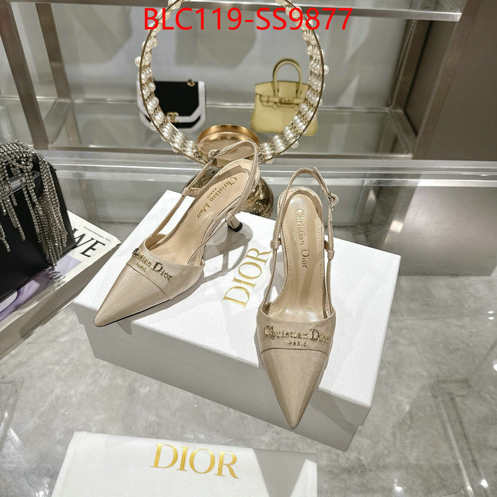 Women Shoes-Dior shop the best high authentic quality replica ID: SS9877 $: 119USD-shoes yupoo Women Shoes-Dior shop the best high authentic quality replica ID: SS9877 $: 119USD