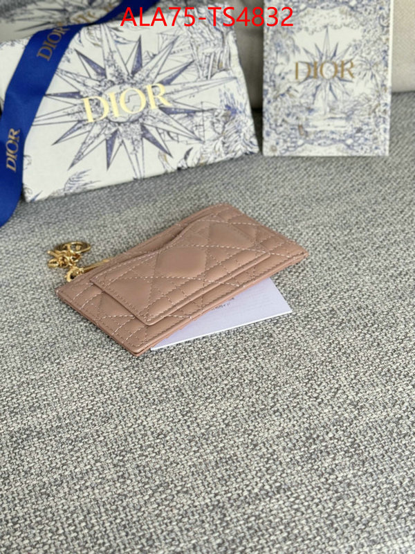 ID: TS4832 $: 75USD,