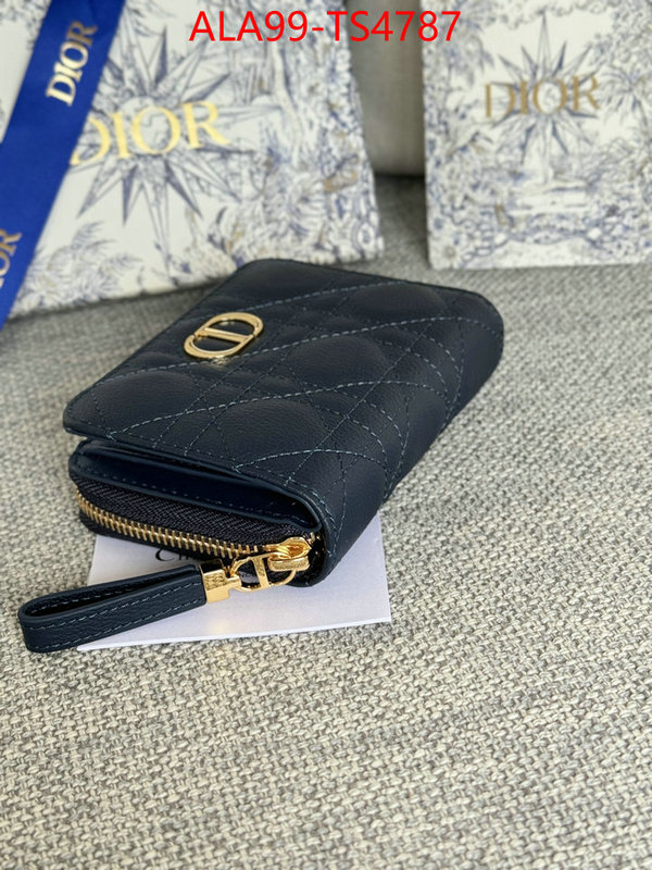 ID: TS4787 $: 99USD,