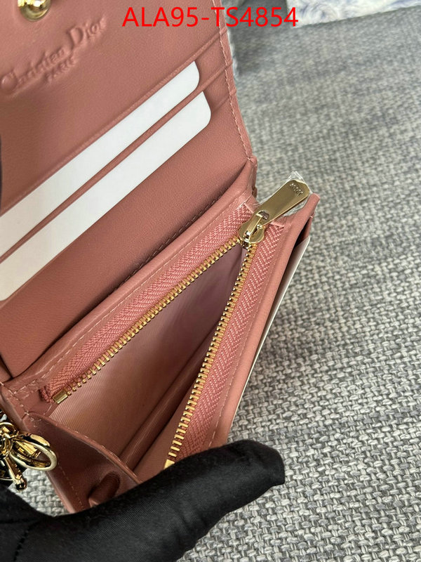 ID: TS4854 $: 95USD,