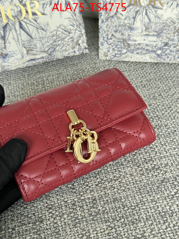 ID: TS4775 $: 75USD,
