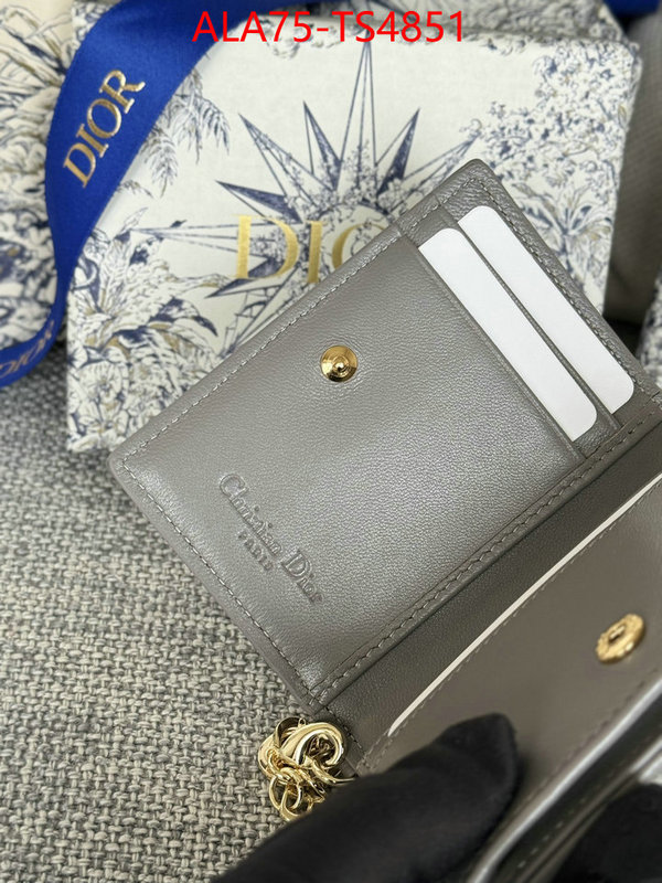 ID: TS4851 $: 75USD,