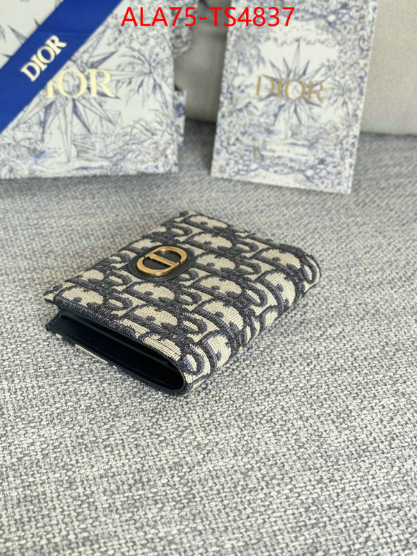 ID: TS4837 $: 75USD,