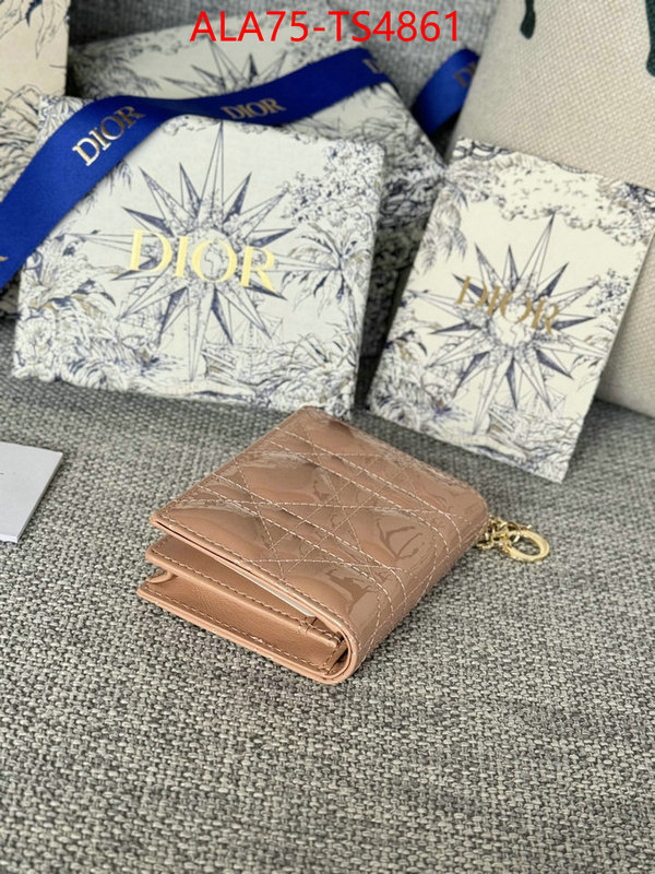 ID: TS4861 $: 75USD,