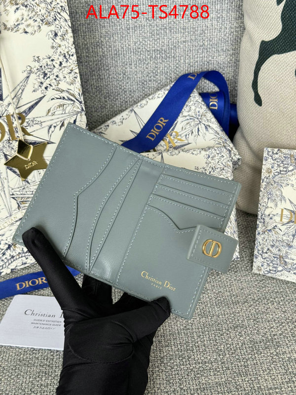 ID: TS4788 $: 75USD,