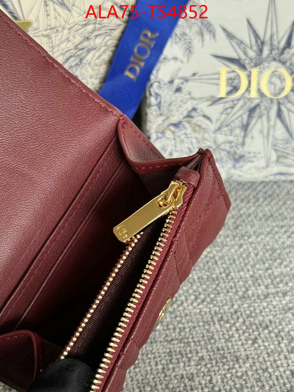 ID: TS4852 $: 75USD,