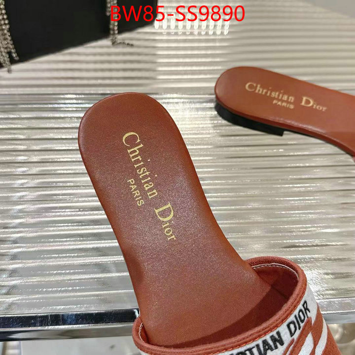 Women Shoes-Dior sell online ID: SS9890 $: 85USD
