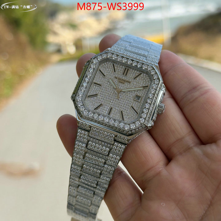 ID: WS3999