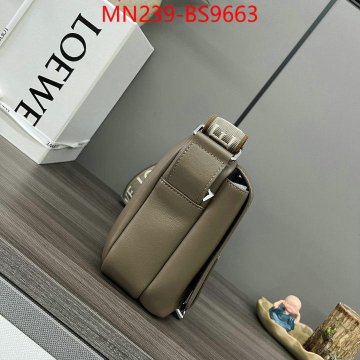 Loewe Bags(TOP)-Crossbody- luxury cheap ID: BS9663 $: 239USD,