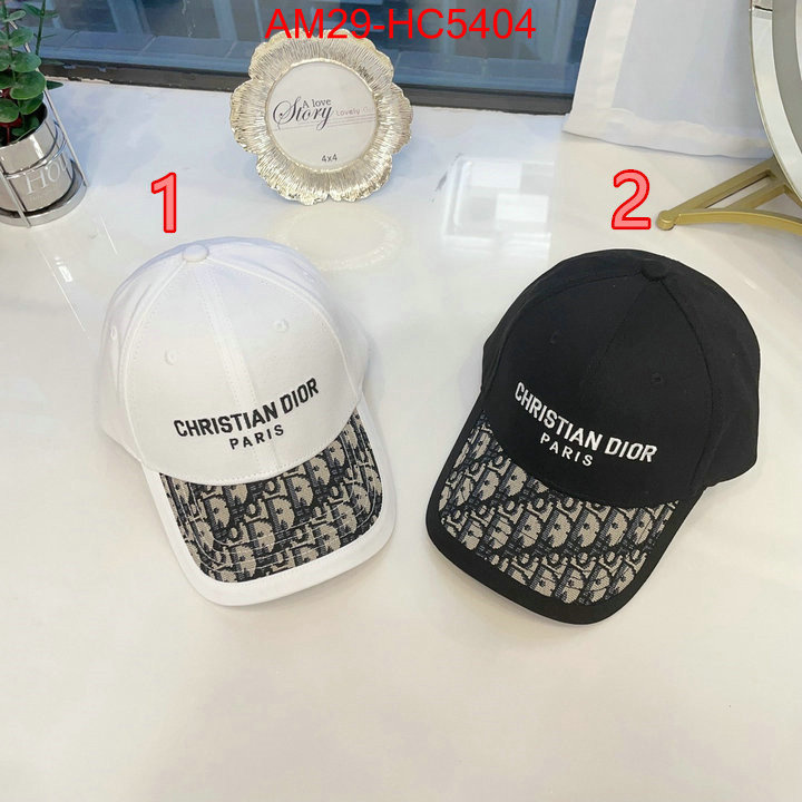 top 1:1 replica ID: HC5404