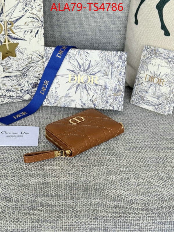 ID: TS4786 $: 79USD,
