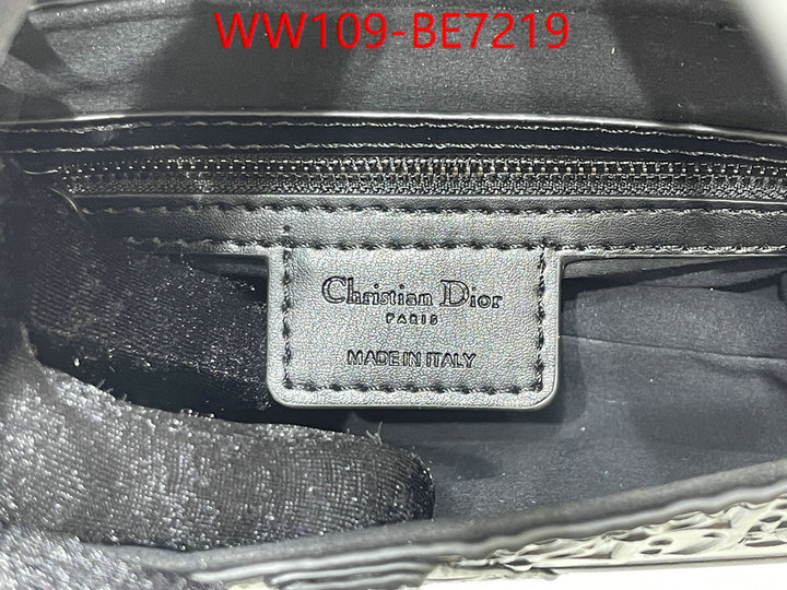 ID: BE7219 $: 109USD,