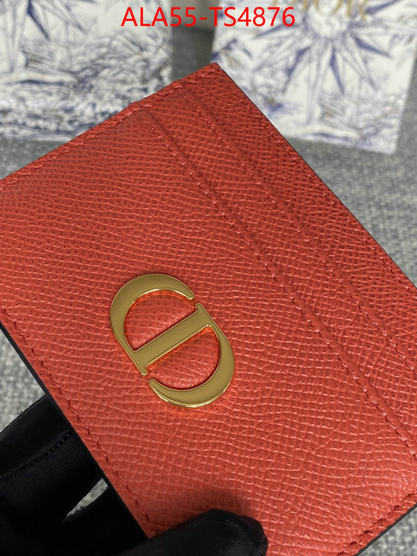 ID: TS4876 $: 55USD,