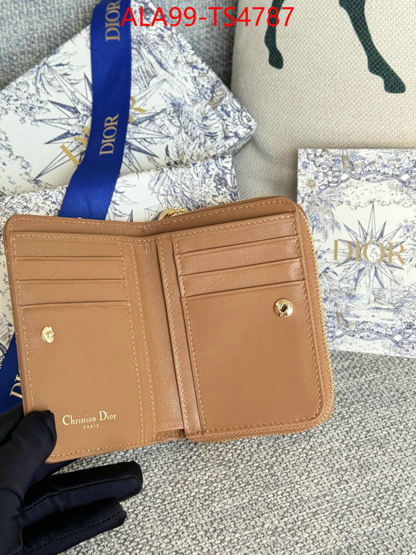 ID: TS4787 $: 99USD,