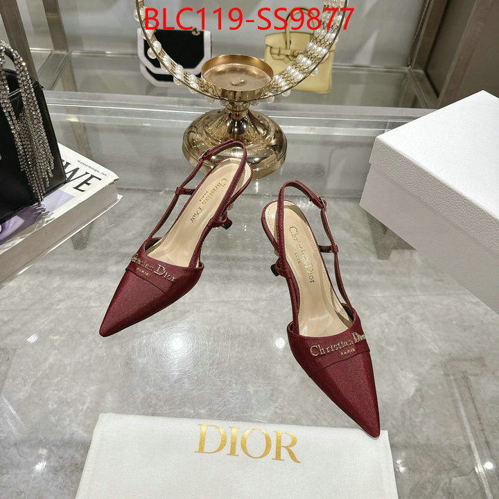 Women Shoes-Dior shop the best high authentic quality replica ID: SS9877 $: 119USD-shoes yupoo Women Shoes-Dior shop the best high authentic quality replica ID: SS9877 $: 119USD
