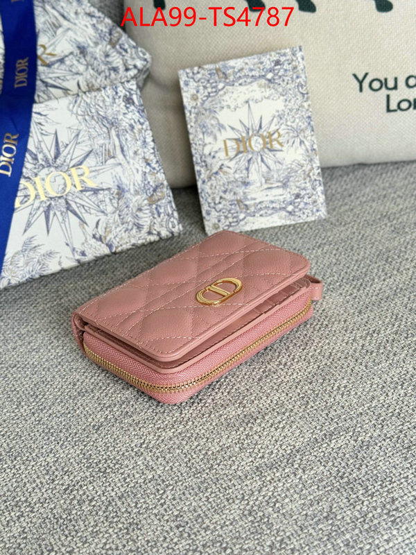 ID: TS4787 $: 99USD,
