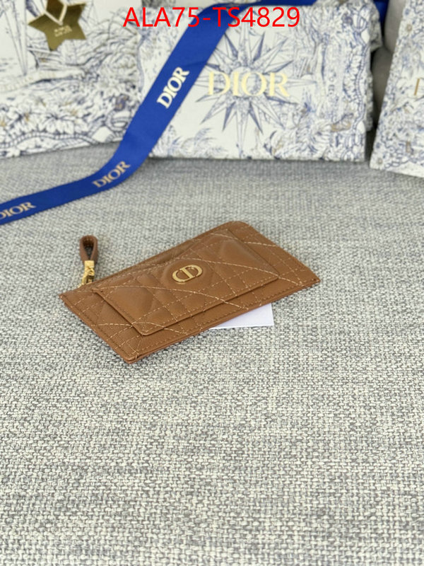 ID: TS4829 $: 75USD,