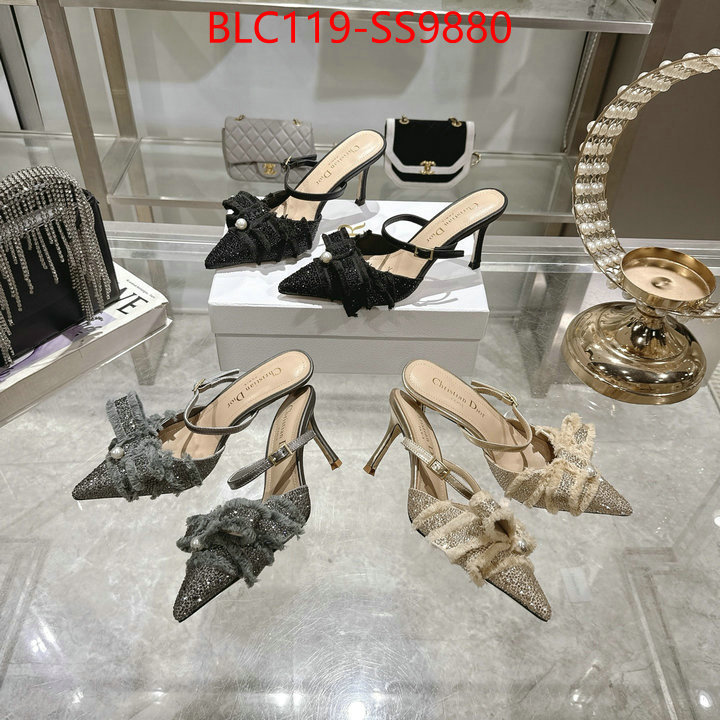 Women Shoes-Dior store ID: SS9880 $: 119USD