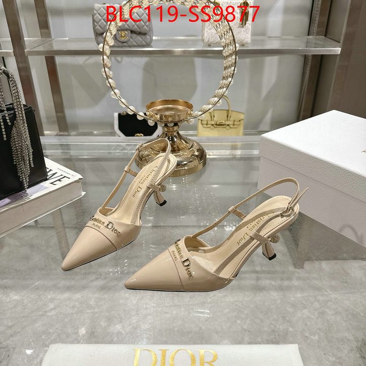 Women Shoes-Dior shop the best high authentic quality replica ID: SS9877 $: 119USD-shoes yupoo Women Shoes-Dior shop the best high authentic quality replica ID: SS9877 $: 119USD