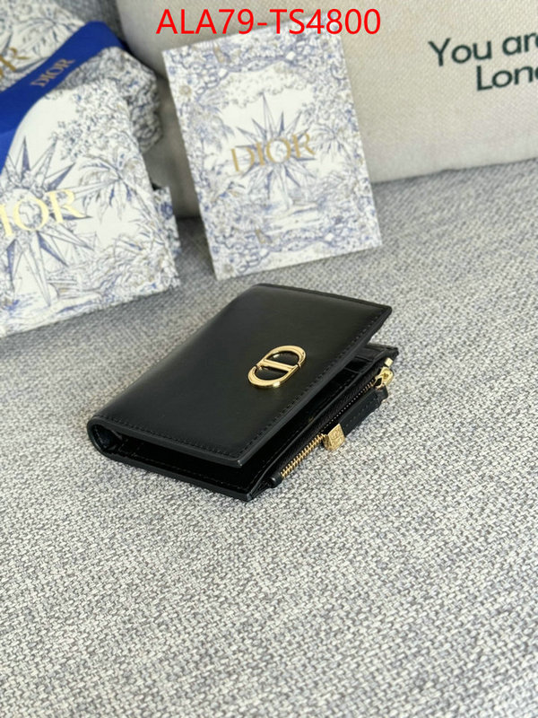 ID: TS4800 $: 79USD,