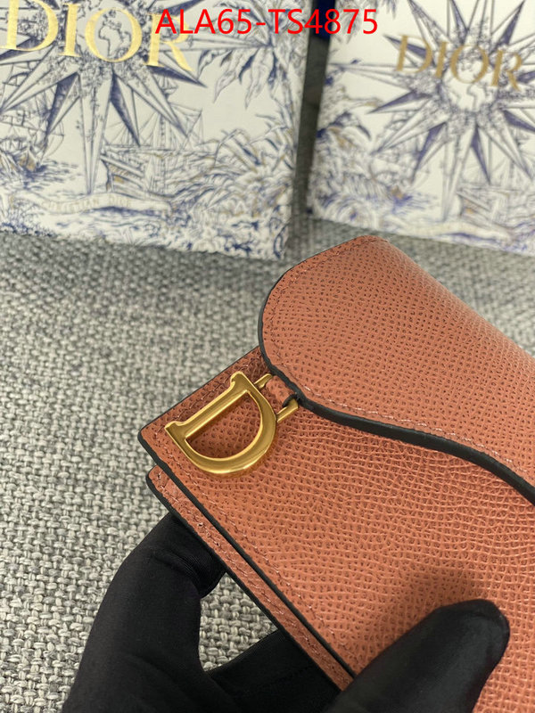 ID: TS4875 $: 65USD,