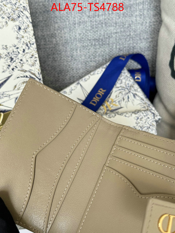 ID: TS4788 $: 75USD,