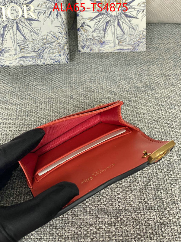 ID: TS4875 $: 65USD,