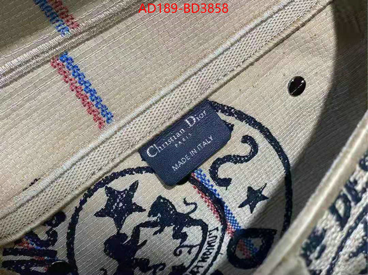 ID: BD3858 $: 189USD,