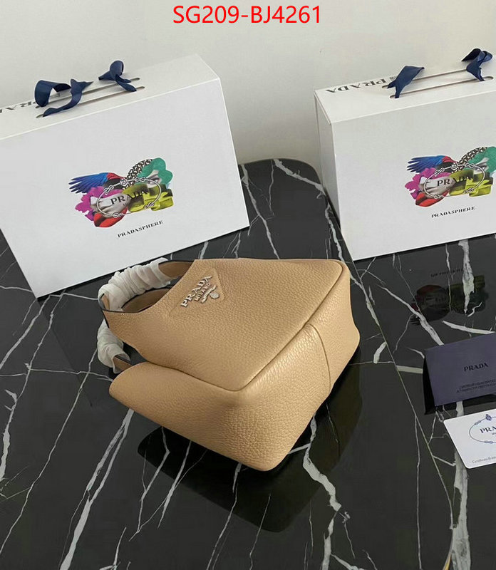 ID: BJ4261 $: 209USD,
