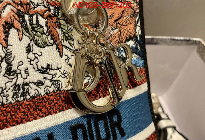 ID: BW1203 $: 189USD,
