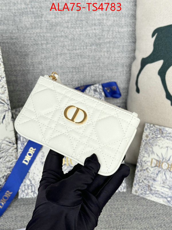 ID: TS4783 $: 75USD,