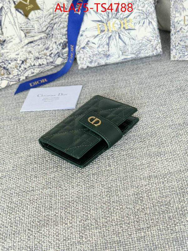 ID: TS4788 $: 75USD,