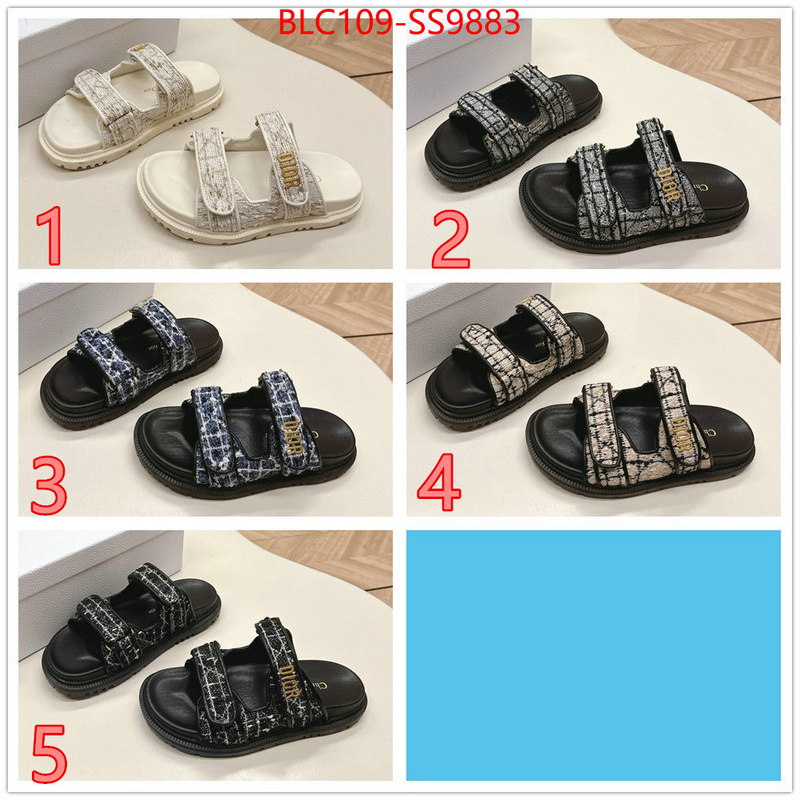 Women Shoes-Dior for sale online ID: SS9883 $: 109USD