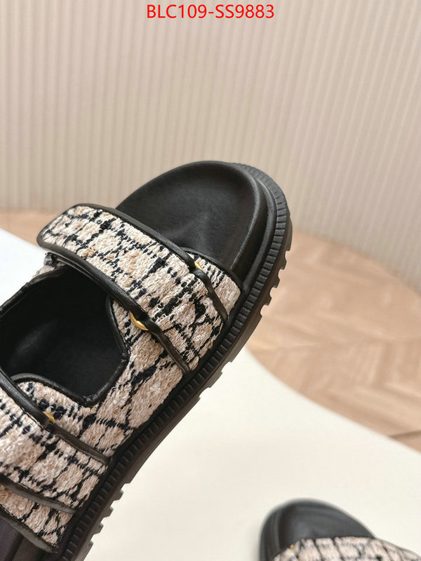 Women Shoes-Dior for sale online ID: SS9883 $: 109USD