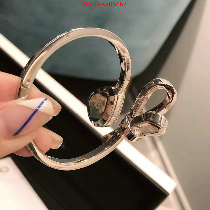 ID: WB6667