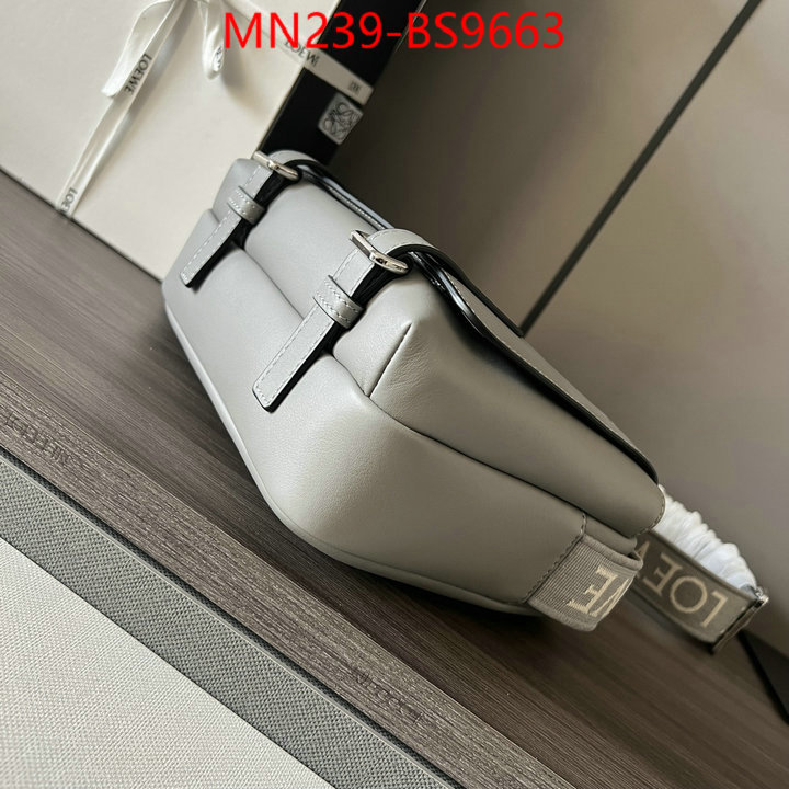 Loewe Bags(TOP)-Crossbody- luxury cheap ID: BS9663 $: 239USD,