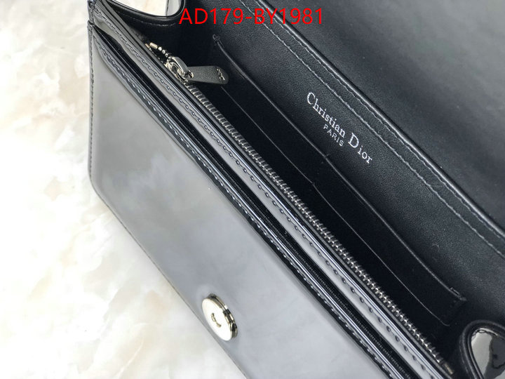 ID: BY1981 $: 179USD,