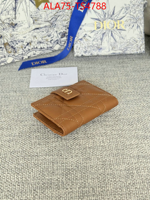 ID: TS4788 $: 75USD,