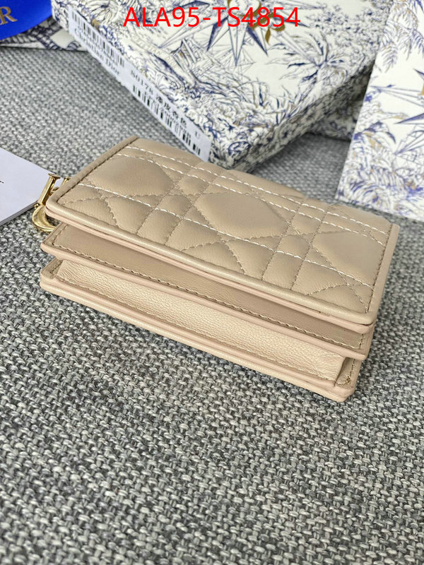 ID: TS4854 $: 95USD,