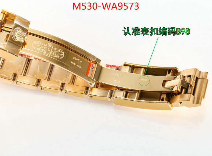 ID: WA9573