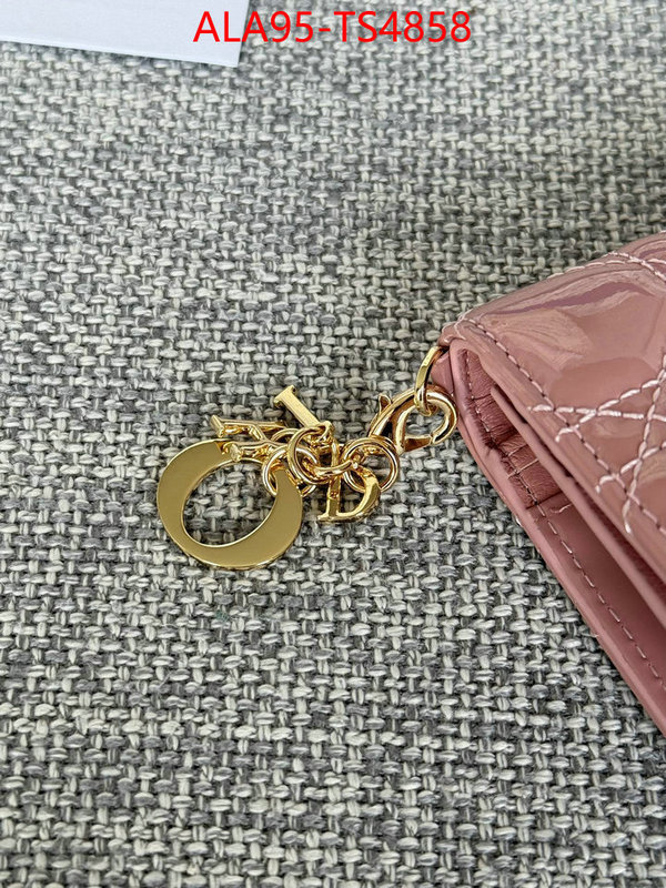 ID: TS4858 $: 95USD,