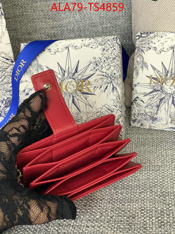 ID: TS4859 $: 79USD,