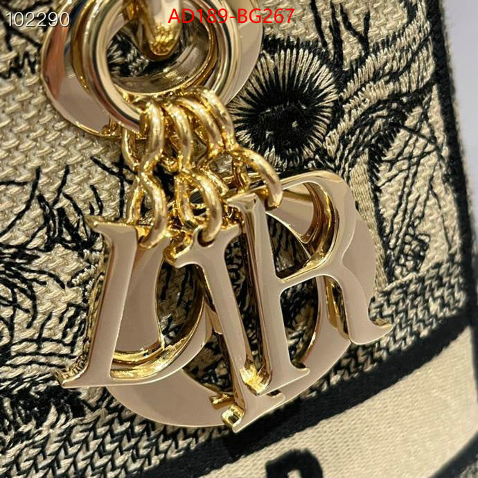 ID: BG267 $: 189USD,